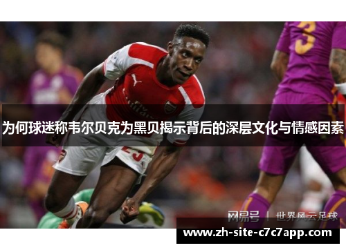 为何球迷称韦尔贝克为黑贝揭示背后的深层文化与情感因素