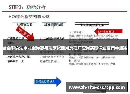 全面解读法甲冠军标志与规范化使用及推广应用实践详细指南手册集 全面解读法甲冠军标志与规范化使用及推广应用实践详细指南手册集
