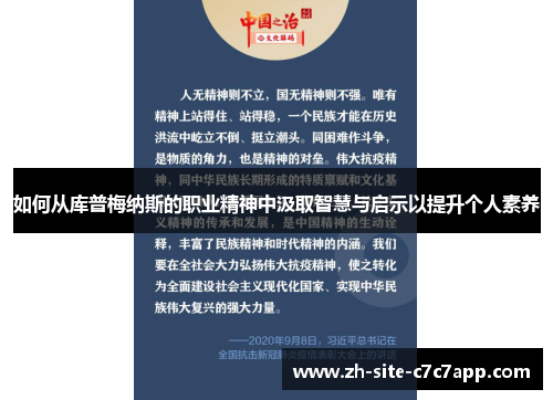 如何从库普梅纳斯的职业精神中汲取智慧与启示以提升个人素养