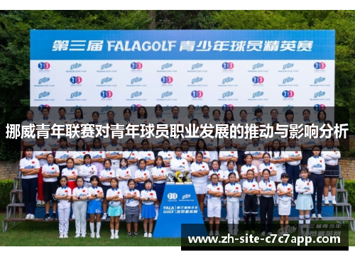 挪威青年联赛对青年球员职业发展的推动与影响分析
