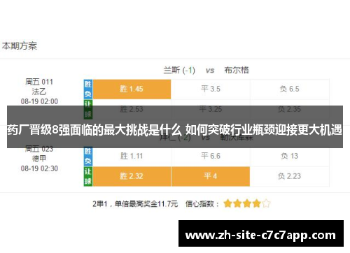 药厂晋级8强面临的最大挑战是什么 如何突破行业瓶颈迎接更大机遇 药厂晋级8强面临的最大挑战是什么 如何突破行业瓶颈迎接更大机遇